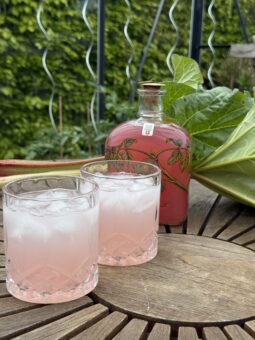 rhubarb cordial recipe
